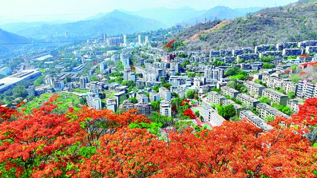 攀枝花市东区城区一角　.jpg