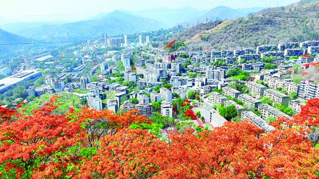 攀枝花市东区城区一角.jpg