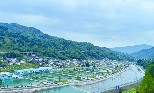 天全县水产现代农业园区基地.jpg