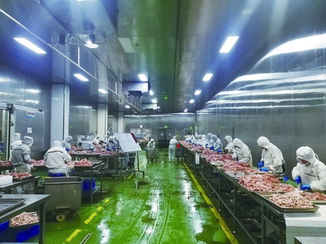 4四川千般就食品有限公司生产线.jpg