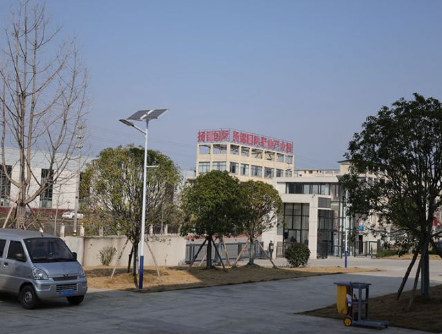 1 乐至县西郊工业园区一隅  周淼葭摄.JPG