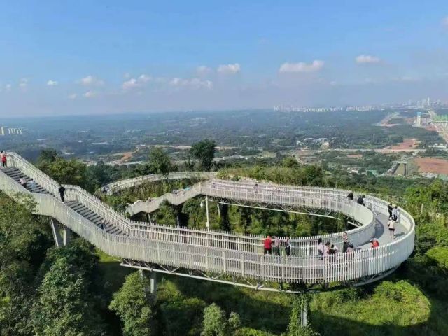 微信图片_20250311102227.jpg