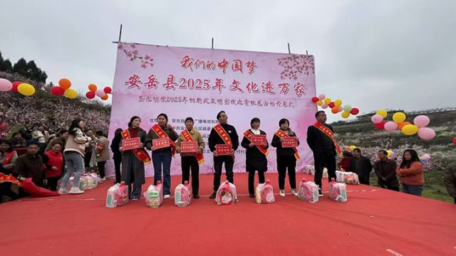 图1“我们的中国梦”安岳县2025年文化进万家活动表彰仪式现场 元坝镇供图.jpg