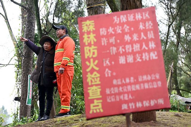 图1  2025年3月20日，四川省内江市东兴区白合镇斑竹林场，夏开桂夫妻俩一起出门巡山护林。.jpg