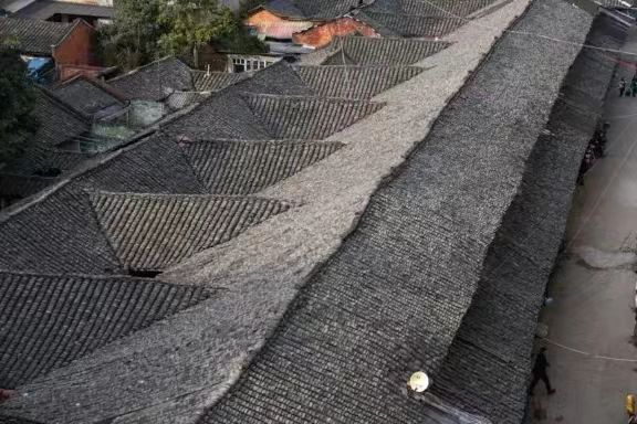 微信图片_20250324124050.jpg