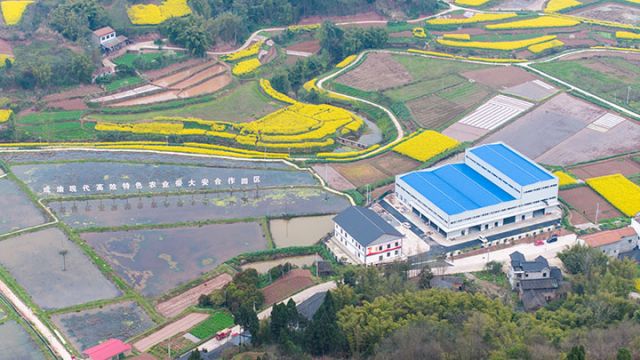 图3  成渝现代高效特色农业产业带大安合作园区“八中心”建设。吴坤忠 摄.jpg