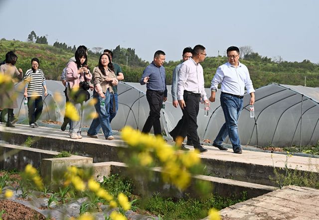 图1.jpg