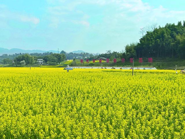 达州农商银行助力现代农业装备示范基地建设.jpg