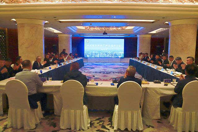 图1  安岳鞋服产业招商推介会  潘政吉  摄.jpg