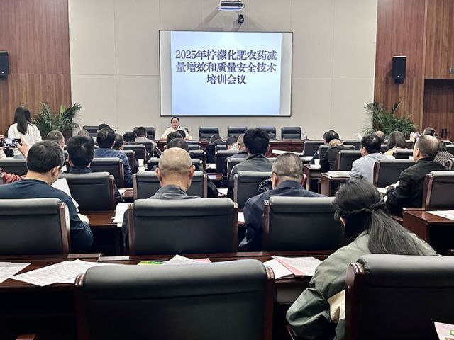 图1  技术培训活动现场 吕敏  摄.jpg