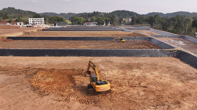 图2  桂香村南美白对虾养殖基地建设现场。潘政吉  摄.jpg