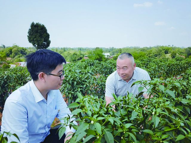 在田间地头了解农业种植情况.jpg