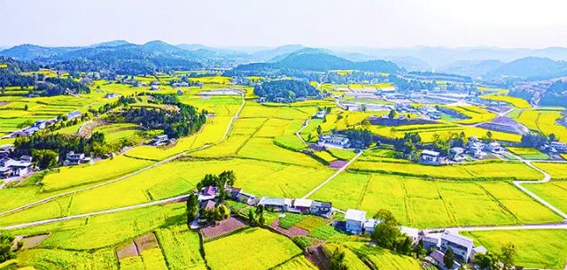 春日射洪乡村美景.jpg