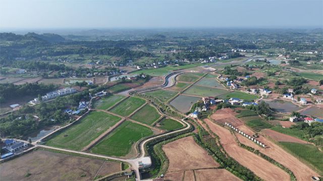 图3  丹山镇稻虾田.jpg