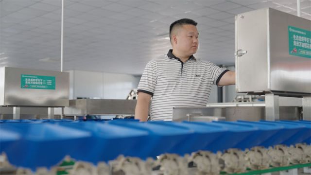 图5  邹富文操作全自动分拣机.jpg