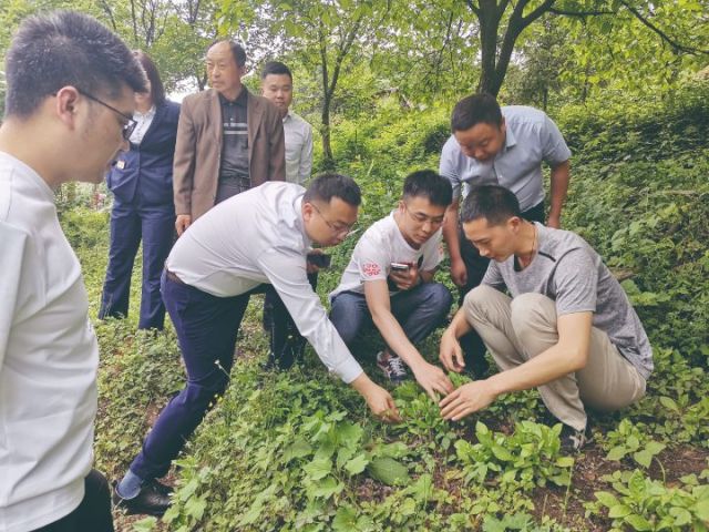 1759197962930646.jpg 积极开展大走访党建共建活动 (1).jpg