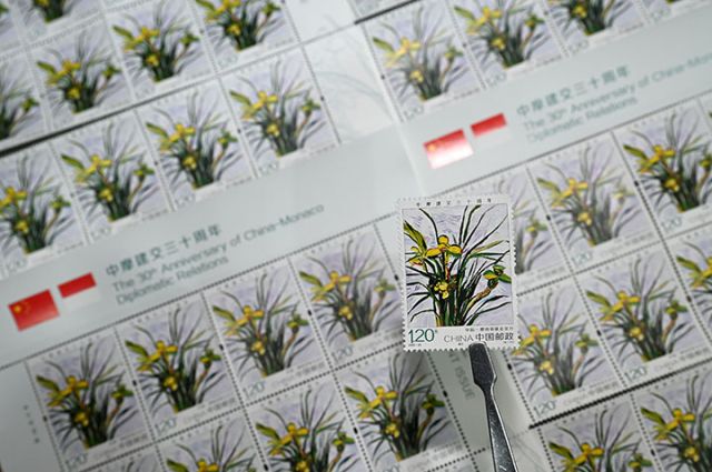 图2.jpg