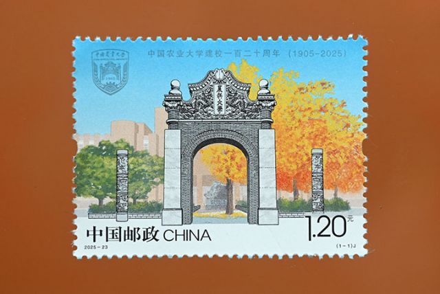 1760689829199319.jpg 1.jpg