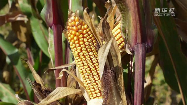 1761209364493024.jpg 1 拷贝.jpg