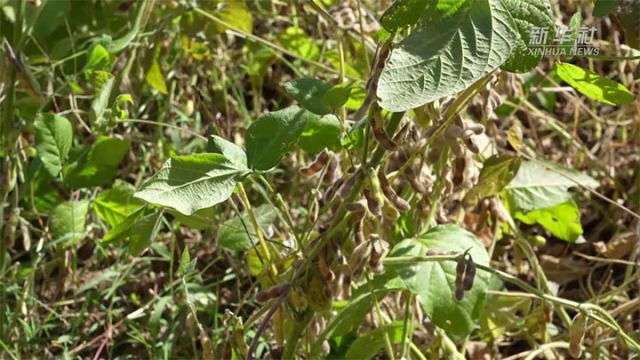 1761209370413424.jpg 2 拷贝.jpg