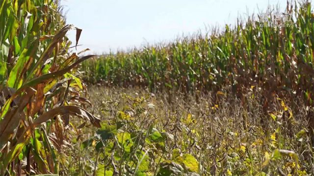 1761209380673450.jpg 3 拷贝.jpg