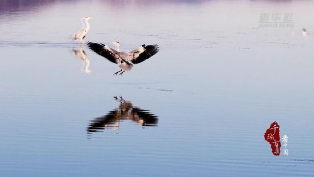 1761554752912755.jpg 图1.jpg