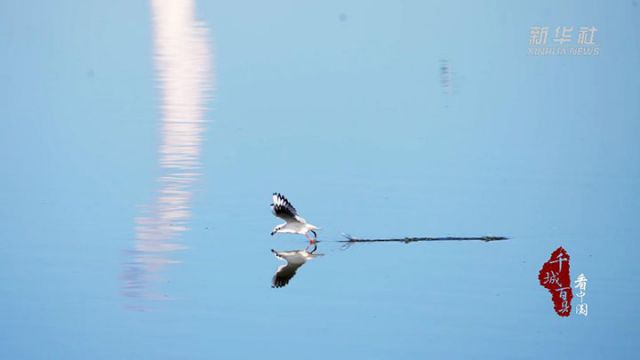 1761554757492980.jpg 图2.jpg