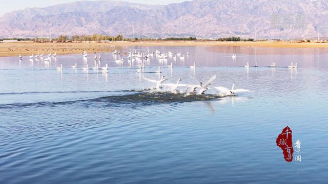 1761554762378647.jpg 图3.jpg