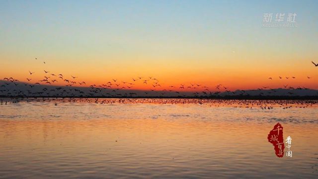 1761554767283542.jpg 图4.jpg