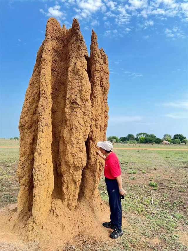 1762161278133678.jpg 图片1.jpg