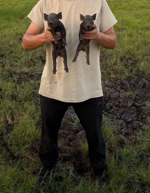 1762161380225089.jpg 图片10.jpg