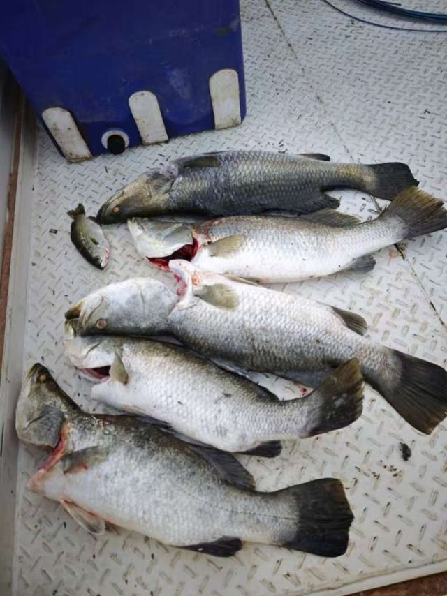 1762161428352299.jpg 图片15.jpg