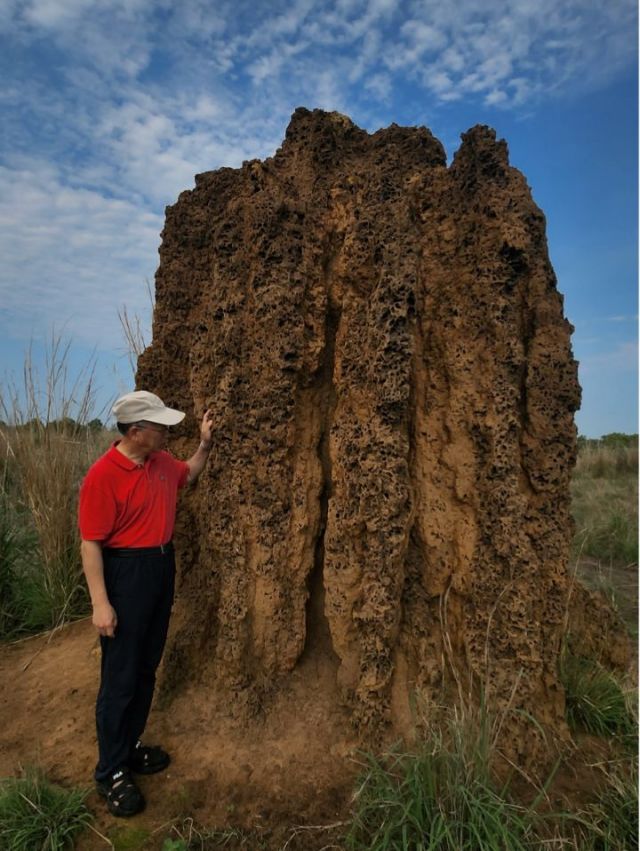 1762161465731621.jpg 图片20.jpg