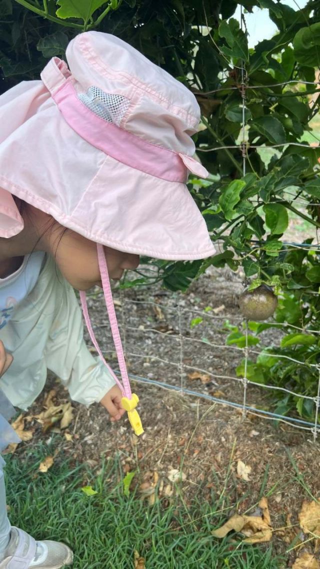 1762161472245410.jpg 图片21.jpg