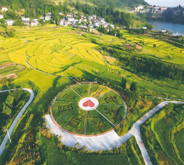 1762249787820906.jpg 达川区米城贡米现代农业园区 李彦 摄 .jpg