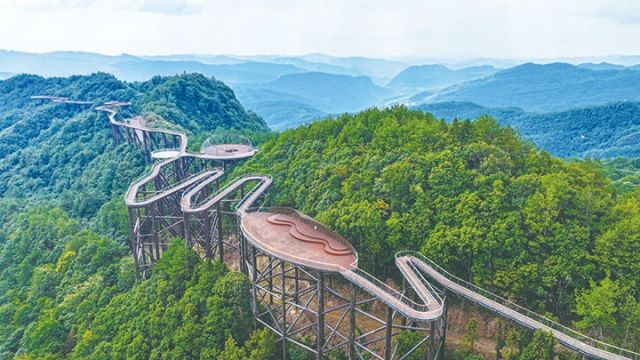 1762249855721024.jpg 月亮坪“树冠云廊”.jpg