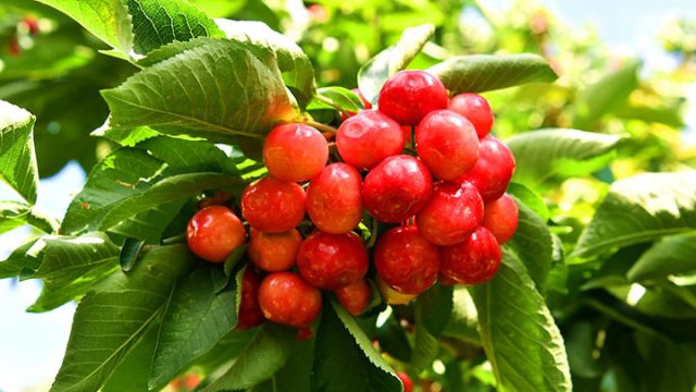 1762854196792615.jpg 图6.jpg