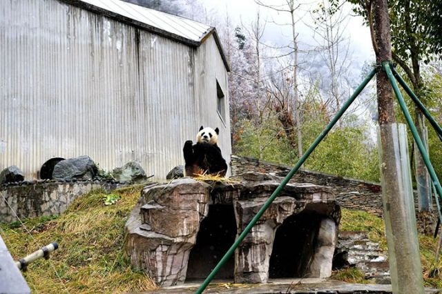 1762854212864928.jpg 图10.jpg