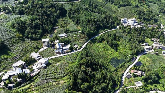 1762940460751976.jpg 图2.jpg