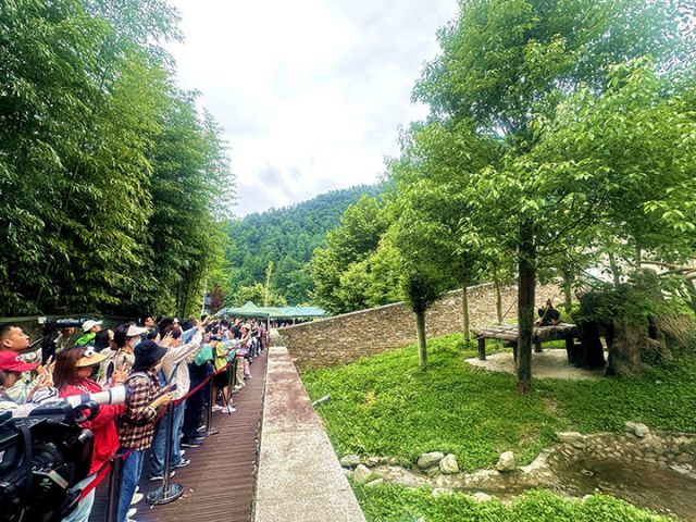 1762940481571322.jpg 图5.jpg