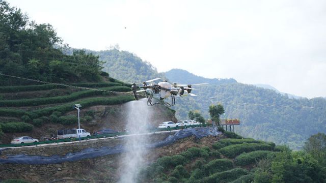 图5 无人机低空植保 （向继华 摄）.jpg