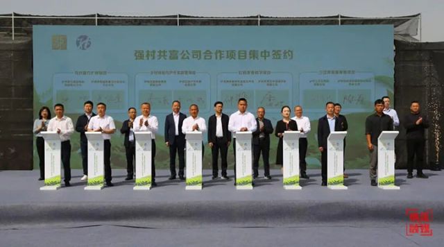 图6  强村共富公司合作项目集中签约现场。 &nbsp;高银松 摄.jpg