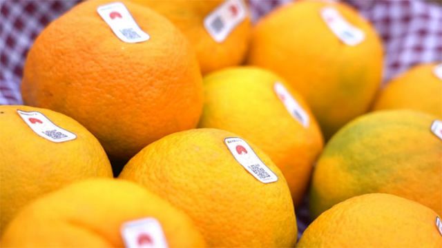 图2  有溯源码的“雁媛” 拷贝.jpg