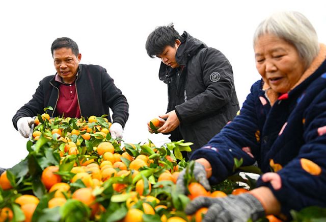 1763974118698679.jpg 图2.jpg