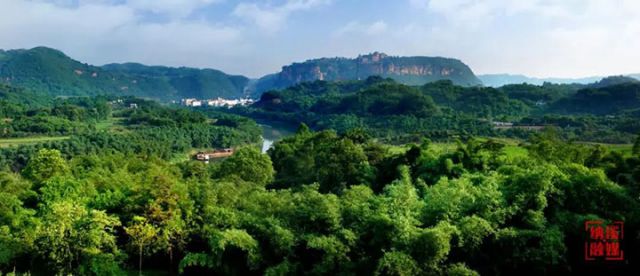 图1  纳溪区永宁河畔翠竹翻涌。（区林竹局供图）.jpg