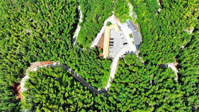 图4  白节镇大旺竹海。（纳溪融媒供图）.jpg