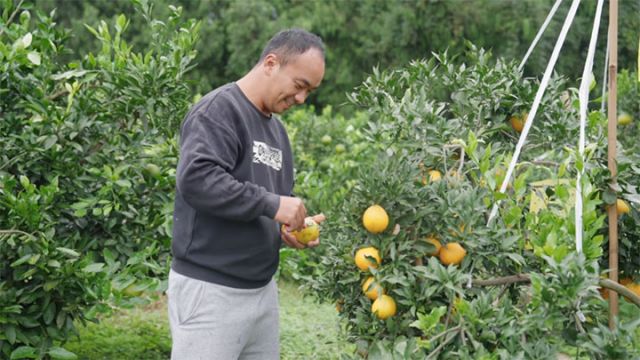 图2  罗泽与雁媛 拷贝.jpg