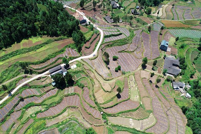 图1  三江镇民主村的“四好农村路”.jpg