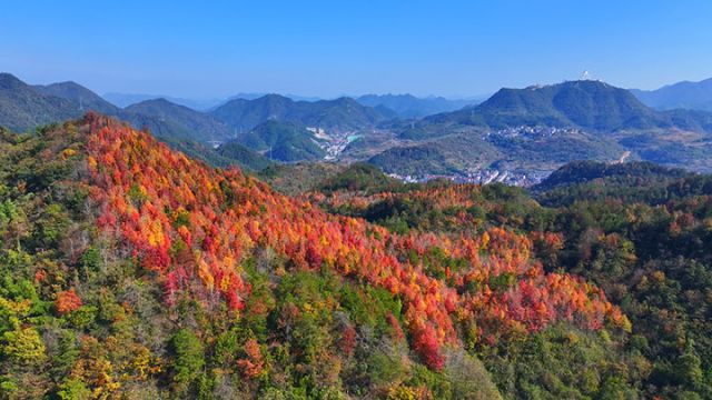 1764752456939495.jpg 磐安县秋色一景 (郑晨光 摄).jpg