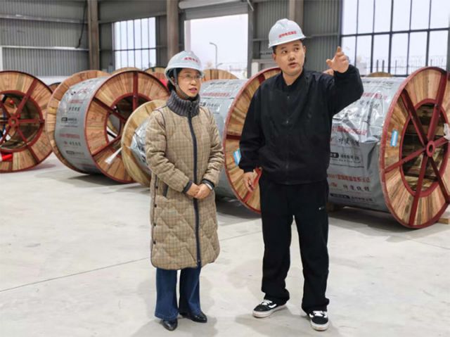 图5  高新区产业落地专班负责人上门指导企业生产建设 拷贝.jpg